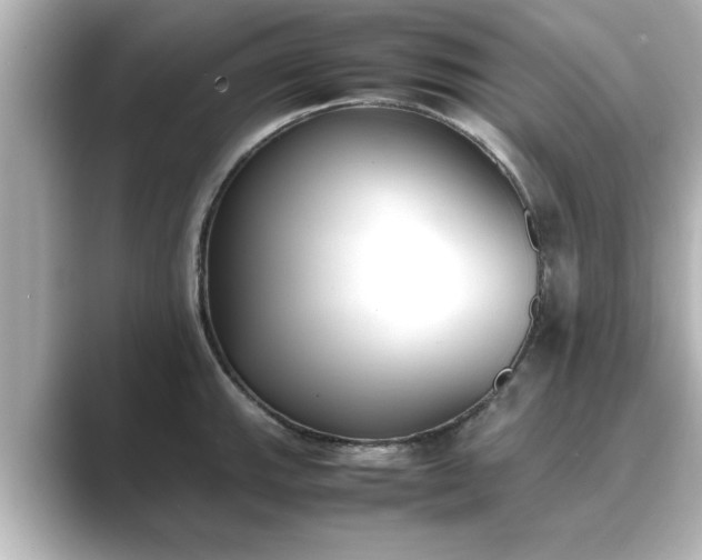 X0000089401143200706221113