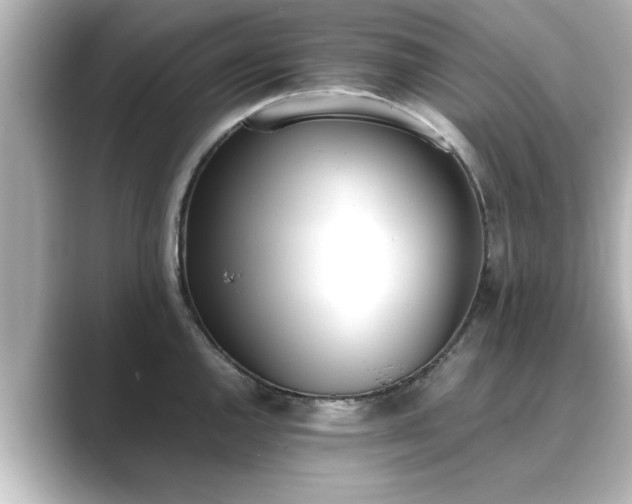 X0000089401144200706221113