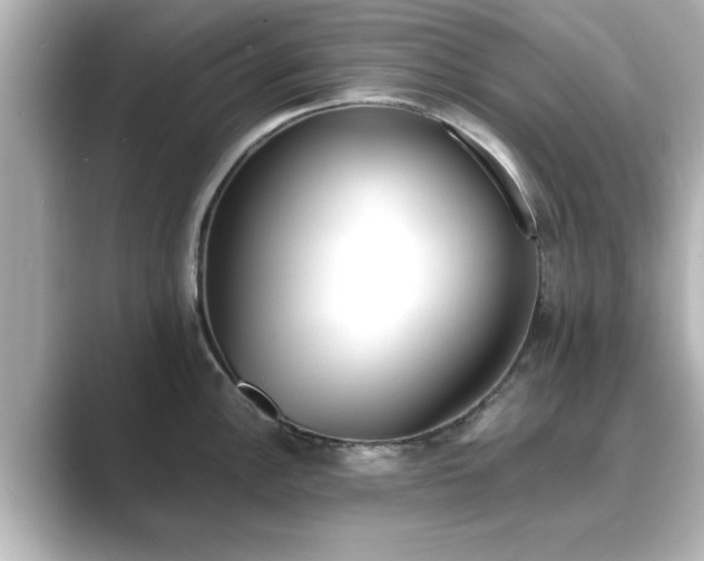 X0000089401148200706221113