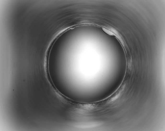 X0000089401149200706221113