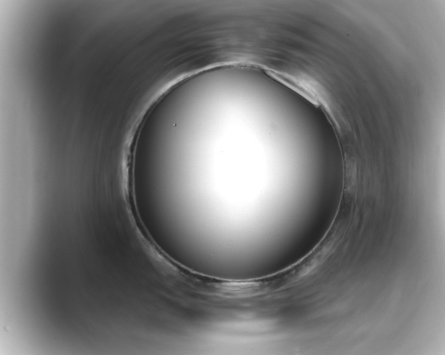 X0000089401151200706221113