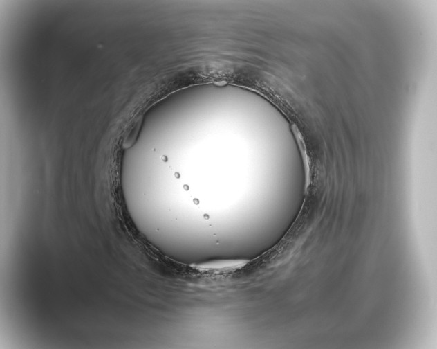 X0000089401153200706221112