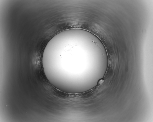 X0000089401154200706221112