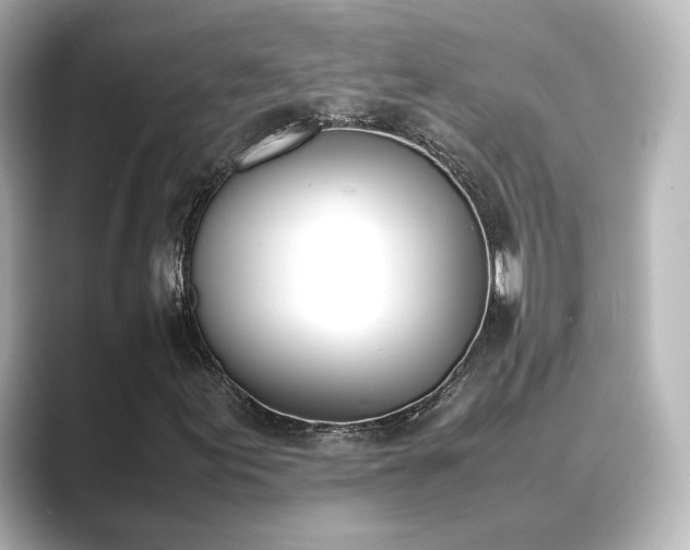 X0000089401155200706221112