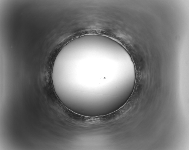 X0000089401159200706221112