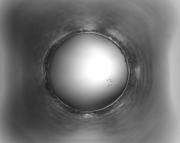 X0000089401160200706221112