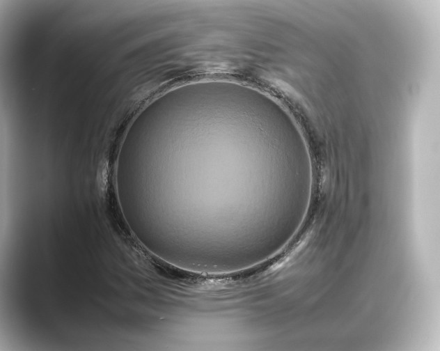 X0000089401161200706221112