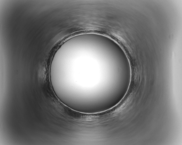 X0000089401163200706221112