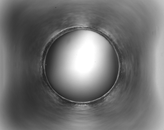 X0000089401168200706221112