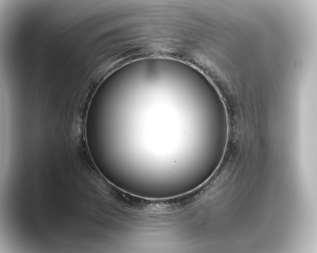 X0000089401169200706221112