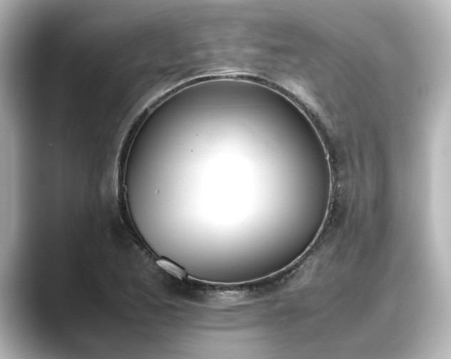 X0000089401173200706221112