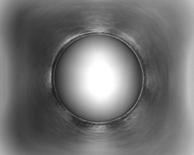 X0000089401174200706221112