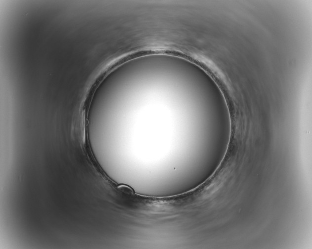 X0000089401175200706221112