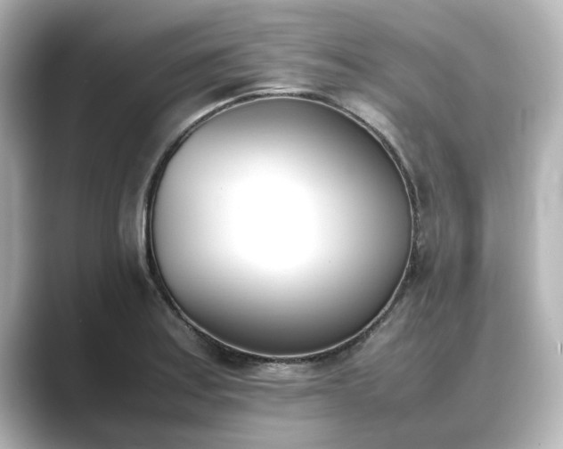 X0000089401179200706221112