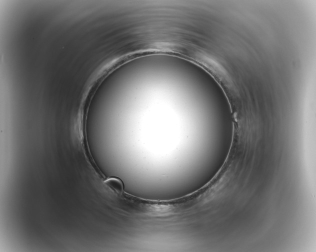 X0000089401180200706221112