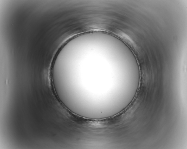 X0000089401182200706221112