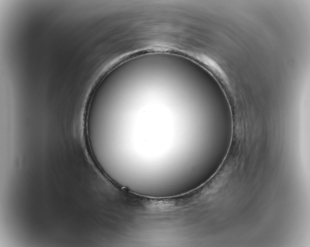 X0000089401183200706221112