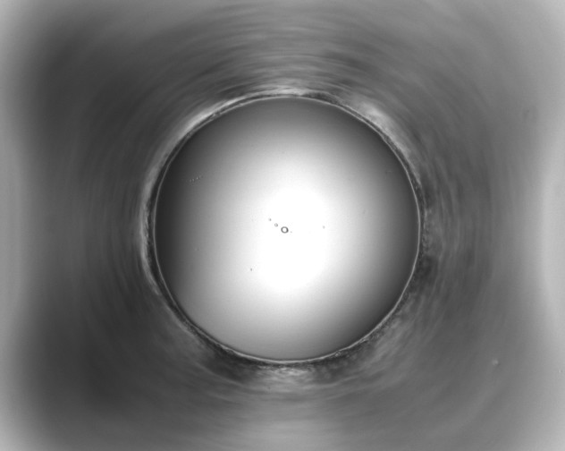 X0000089401187200706221112