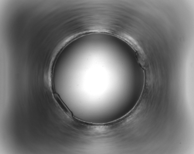 X0000089401188200706221112