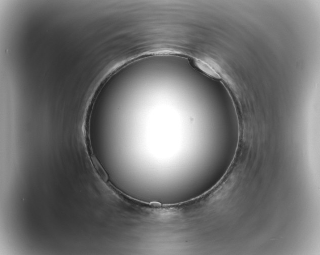 X0000089401189200706221112