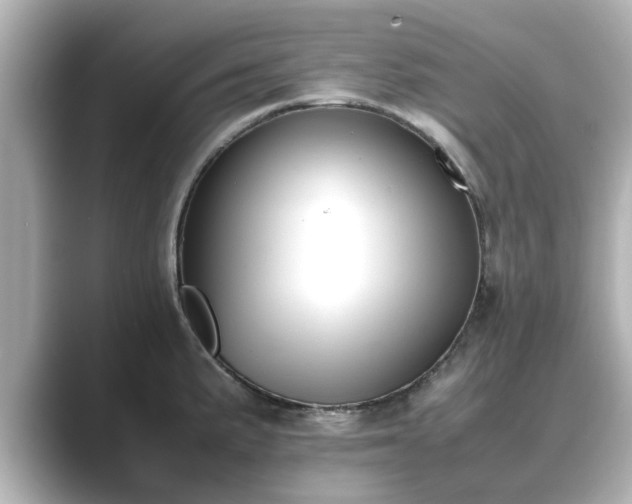 X0000089401191200706221112