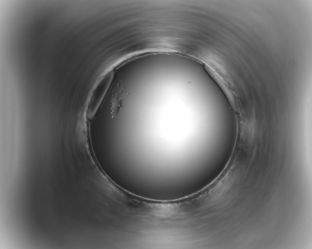 X0000089401192200706221112