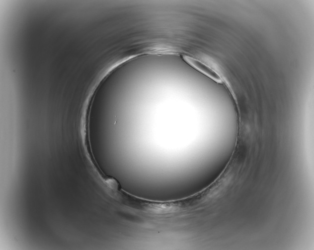 X0000089401195200706221112