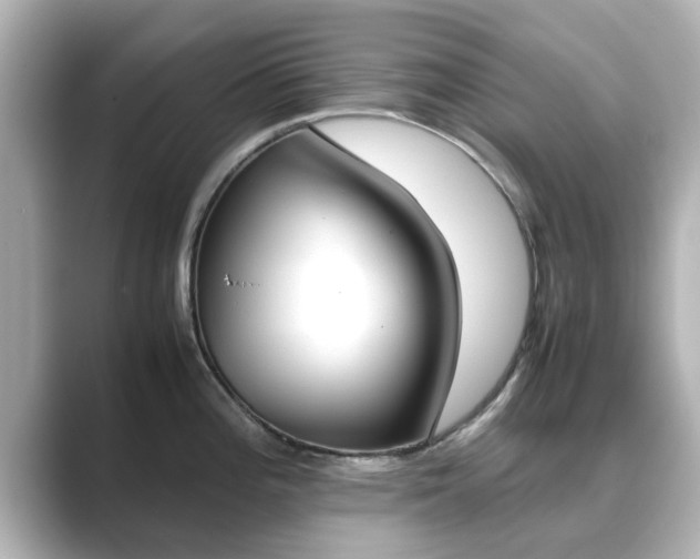 X0000089401196200706221112