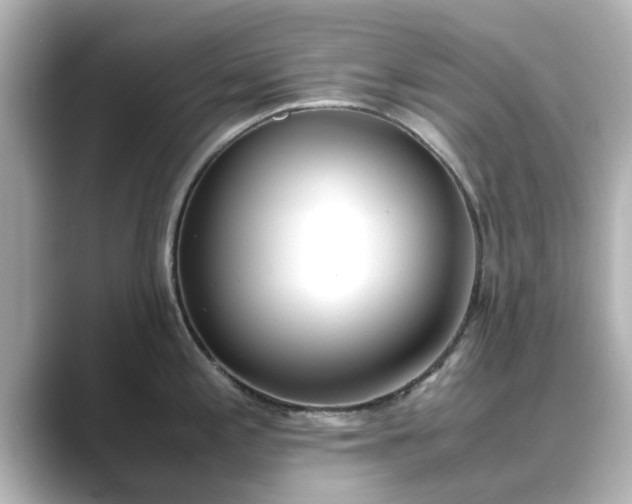 X0000089401197200706221112