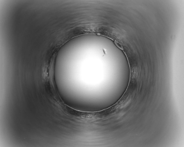 X0000089401202200706221111