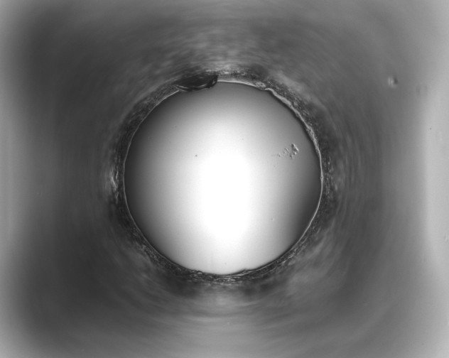 X0000089401206200706221111