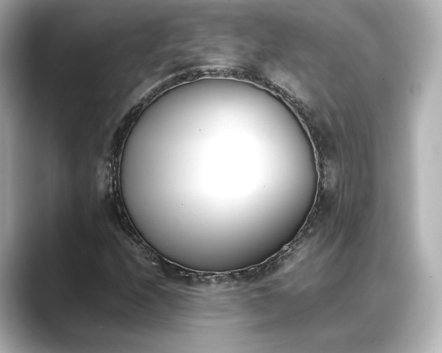 X0000089401208200706221111