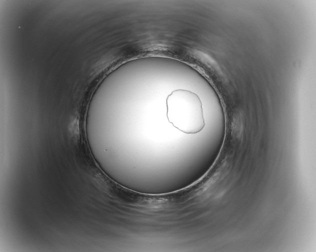 X0000089401209200706221111