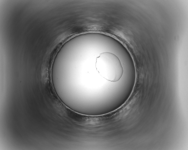 X0000089401211200706221111