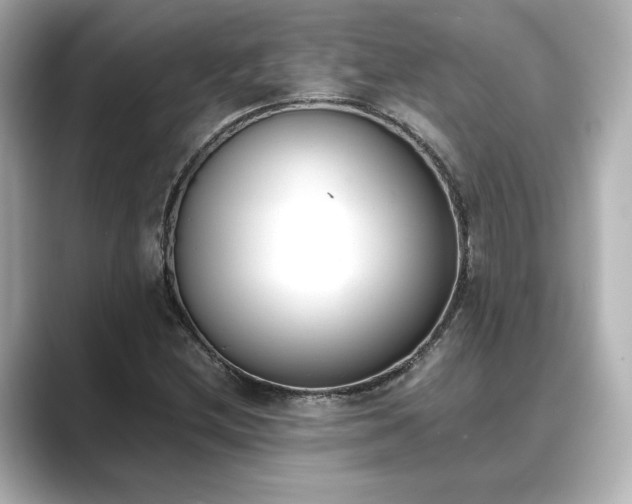 X0000089401212200706221111