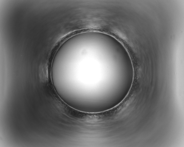 X0000089401214200706221111