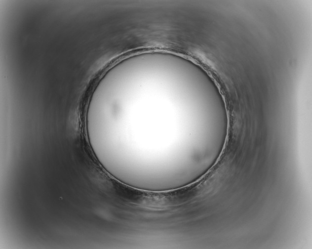 X0000089401215200706221111