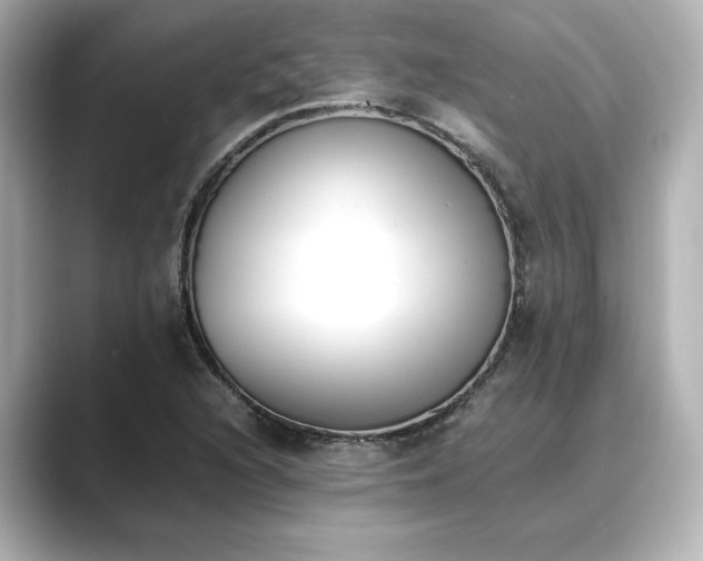 X0000089401216200706221111