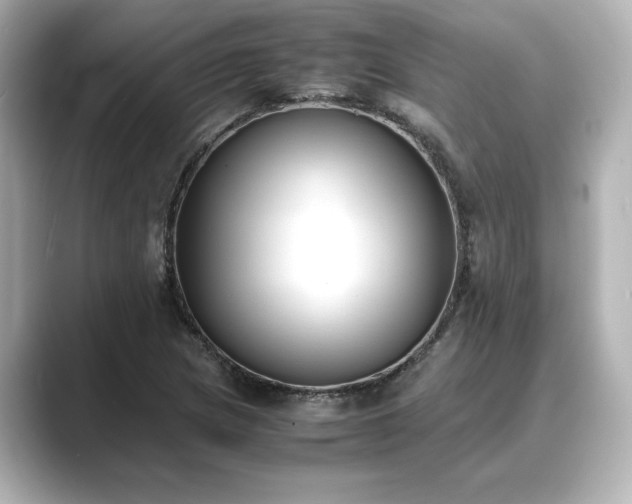 X0000089401217200706221111