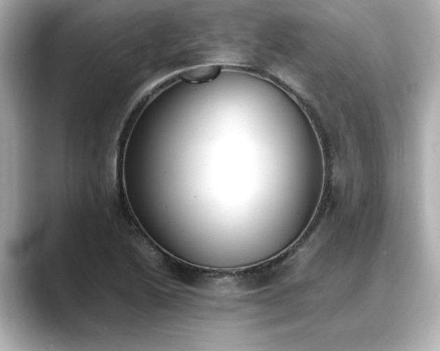 X0000089401222200706221111