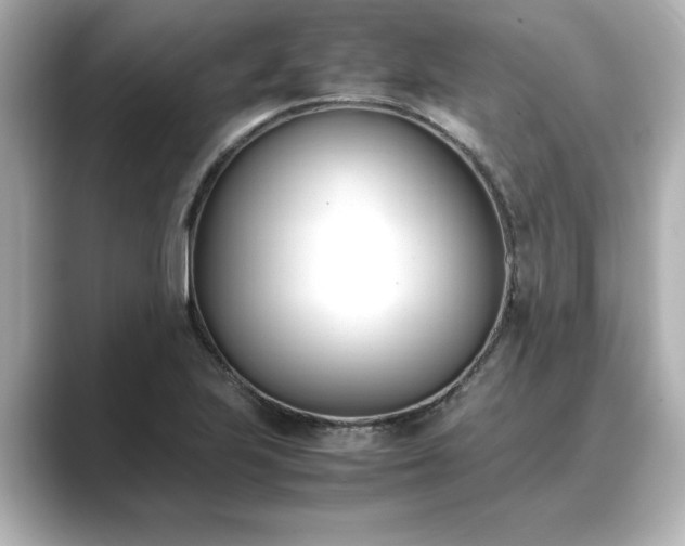 X0000089401223200706221111