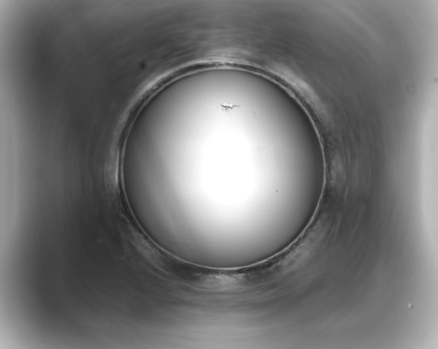 X0000089401224200706221111