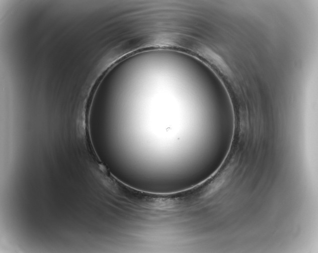 X0000089401226200706221111