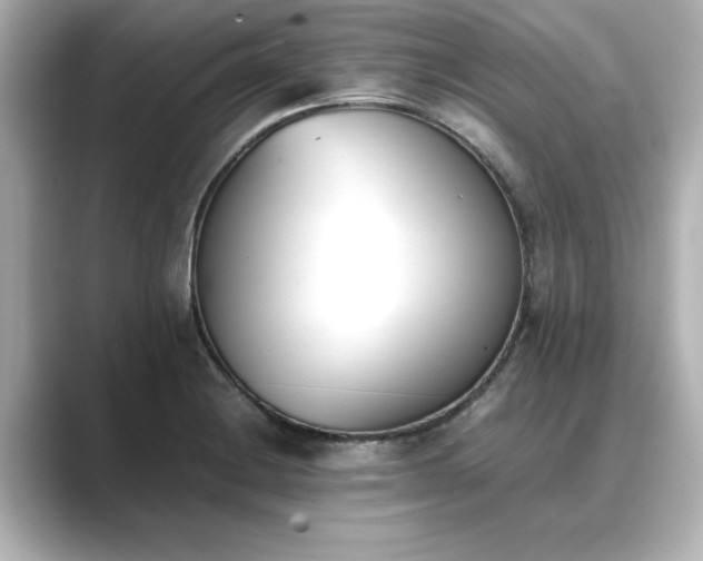 X0000089401228200706221111