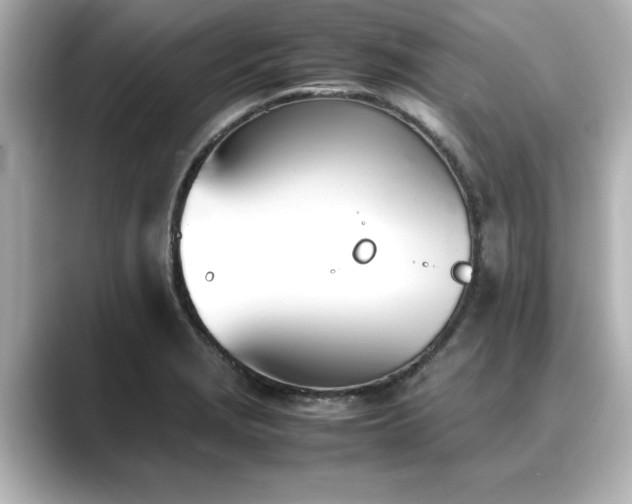 X0000089401229200706221111