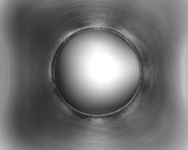 X0000089401230200706221111