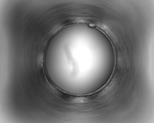 X0000089401233200706221111