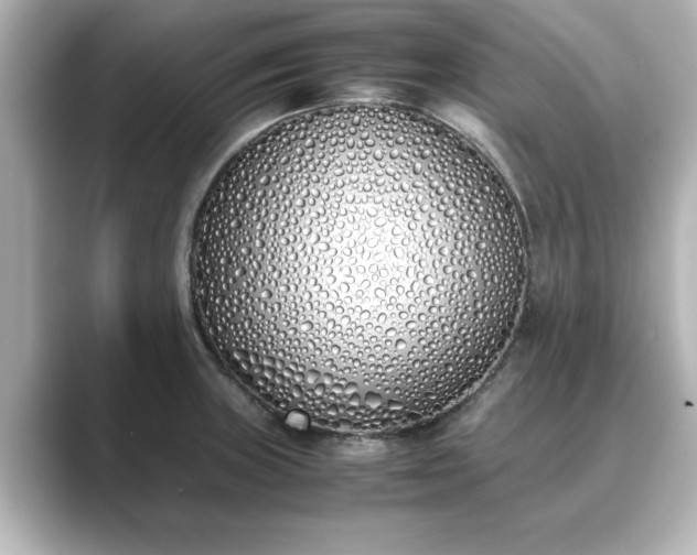 X0000089401235200706221112