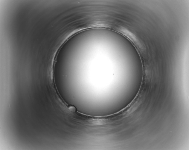 X0000089401236200706221112