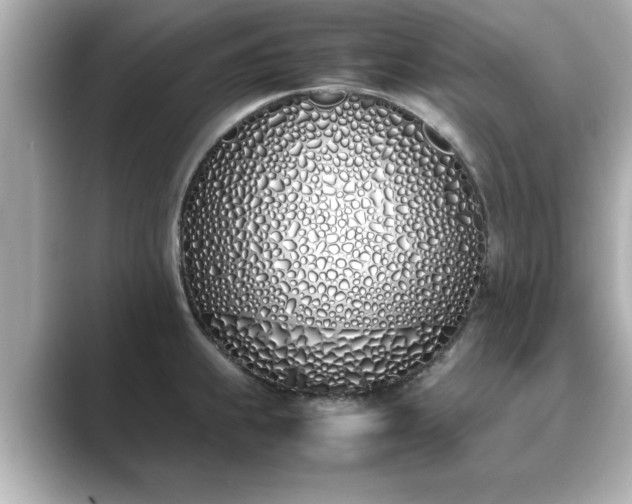 X0000089401239200706221112